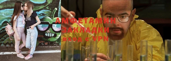 прущие грибы Няндома