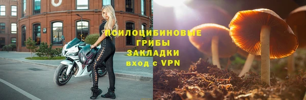 СК Нягань