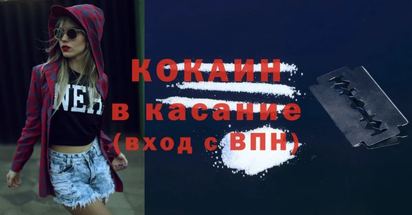 прущие грибы Няндома