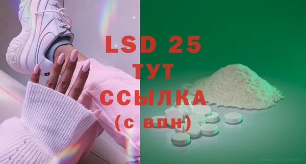 прущие грибы Няндома