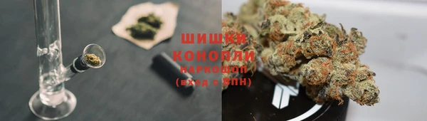 СК Нягань
