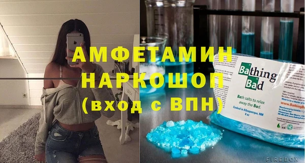 прущие грибы Няндома