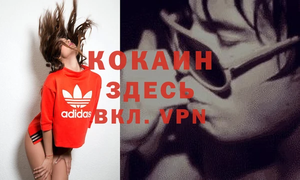 прущие грибы Няндома