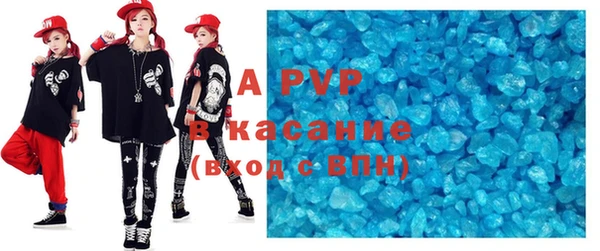 прущие грибы Няндома