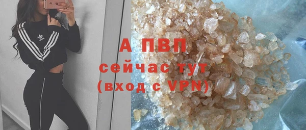 прущие грибы Няндома