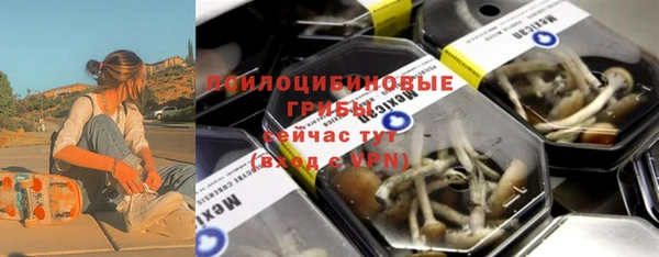 прущие грибы Няндома
