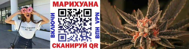 Канабис гибрид  Печора 
